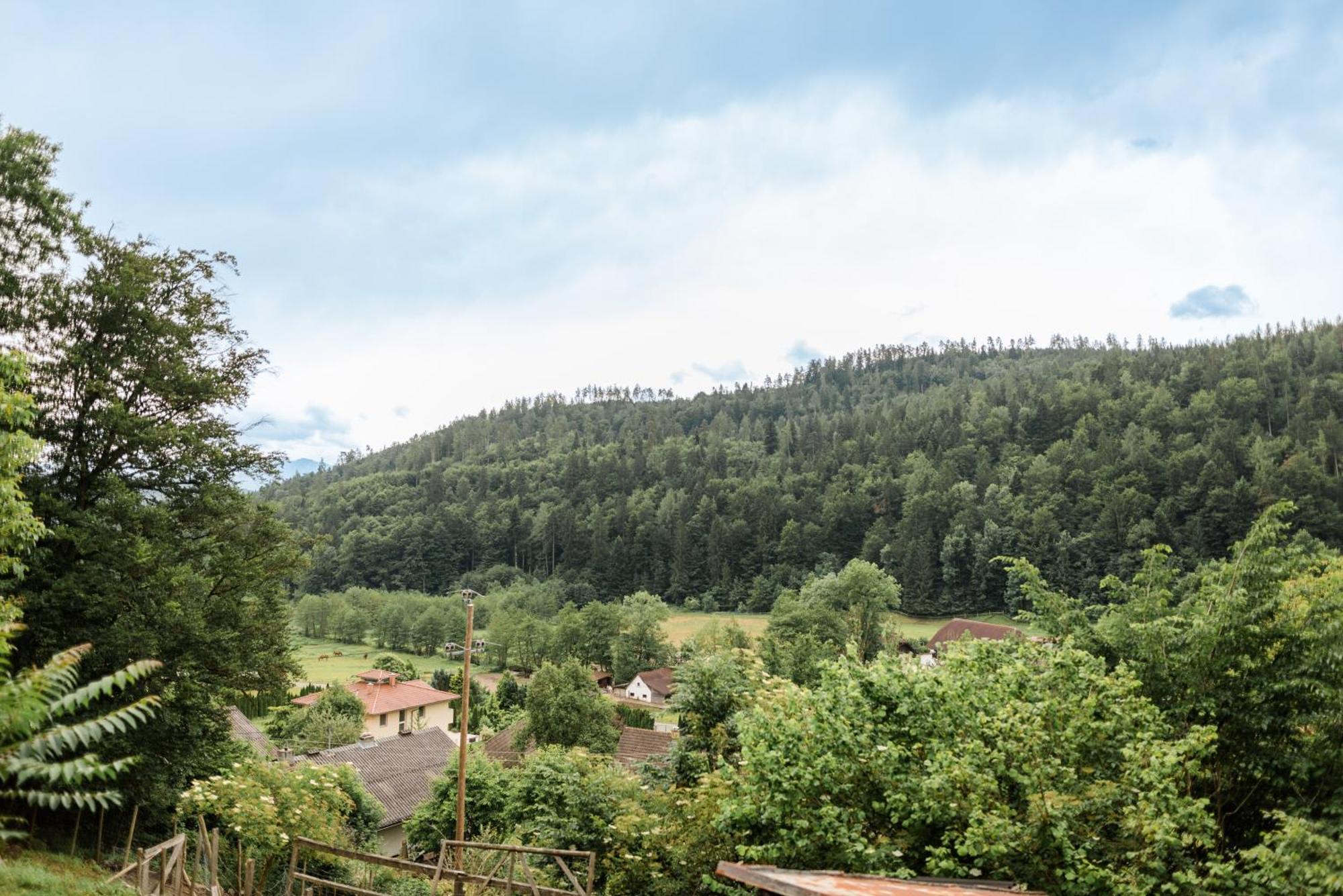 Fernblick Villa Klagenfurt am Woerthersee Buitenkant foto